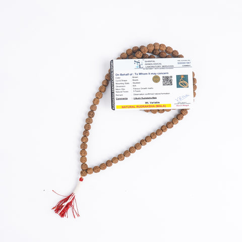 Panchamukhi Rudraksha Mala - 108 Original Lab Tested Beads