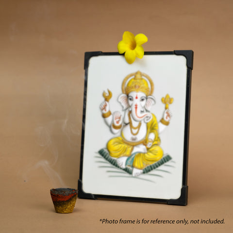 Panchagavya Sambrani 20 pcs
