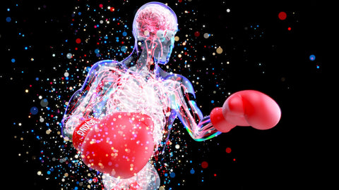 Strengthening Vital Organs