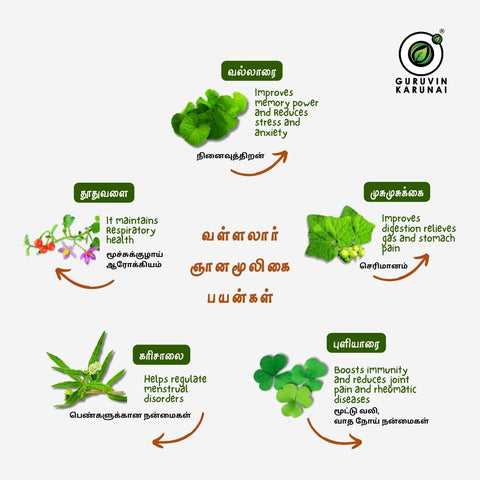 Vallalar Gnanamoolikai