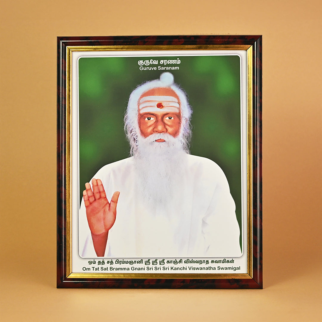 Om Tat Sat Bramma Gnani Sri Kanchi Viswanatha Swamigal Photo Frame ...