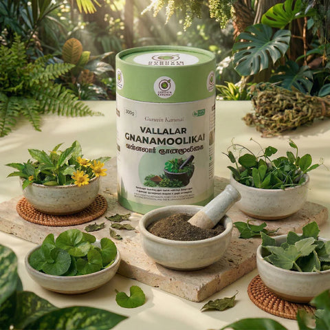 Forest Honey + Vallalar Gnanamoolikai - Nature's Wellness Duo Combo Pack